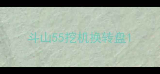 图片 斗山55挖机换转盘1