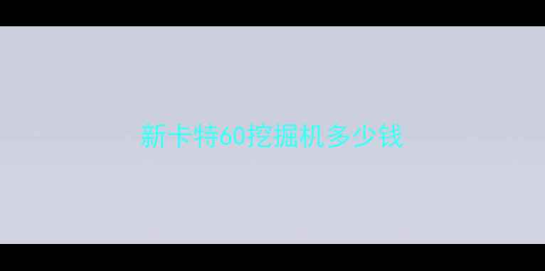 图片 新卡特60挖掘机多少钱
