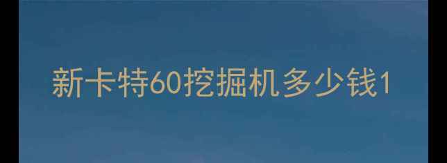 图片 新卡特60挖掘机多少钱1