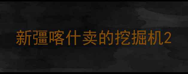 图片 新彊喀什卖的挖掘机2