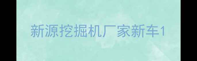 图片 新源挖掘机厂家新车1