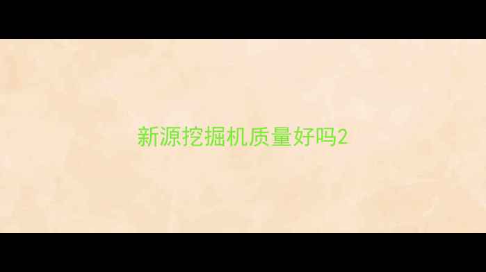图片 新源挖掘机质量好吗2
