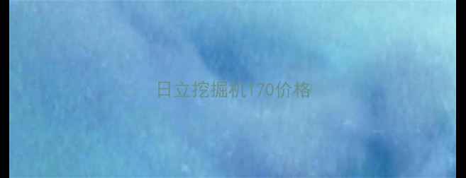图片 日立挖掘机170价格
