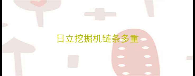图片 日立挖掘机链条多重