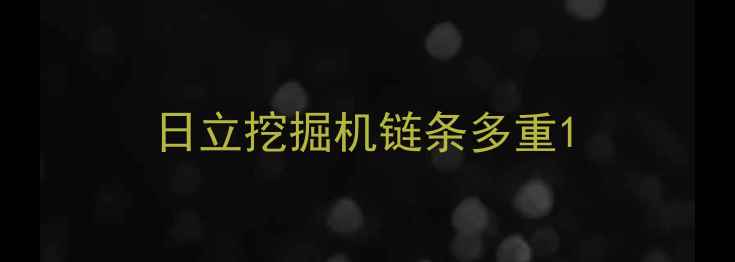 图片 日立挖掘机链条多重1