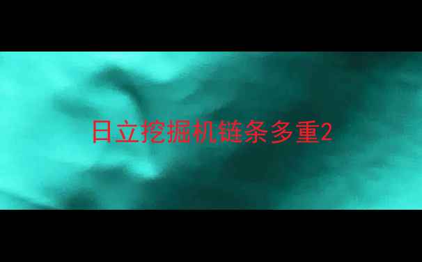 图片 日立挖掘机链条多重2