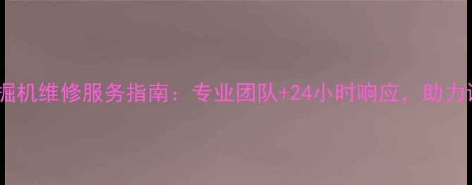 图片 昭通沃尔沃挖掘机维修服务指南：专业团队+24小时响应，助力设备高效运转1