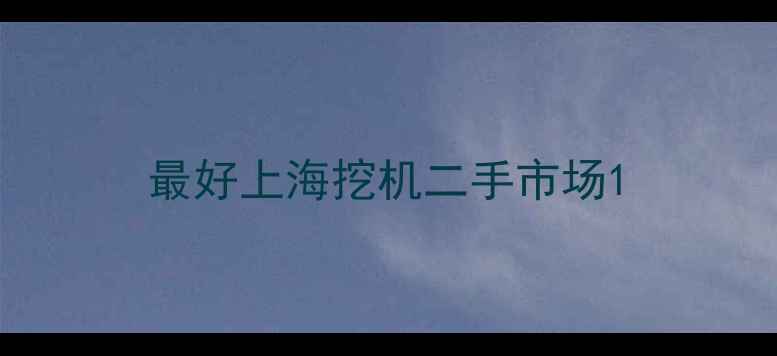 图片 最好上海挖机二手市场1
