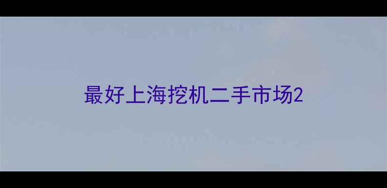图片 最好上海挖机二手市场2