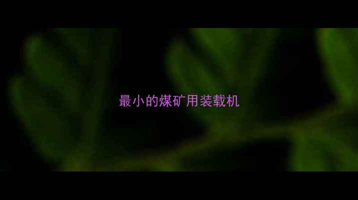 图片 最小的煤矿用装载机