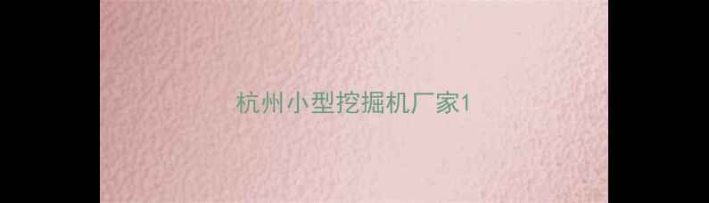 图片 杭州小型挖掘机厂家1