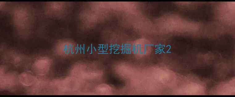 图片 杭州小型挖掘机厂家2