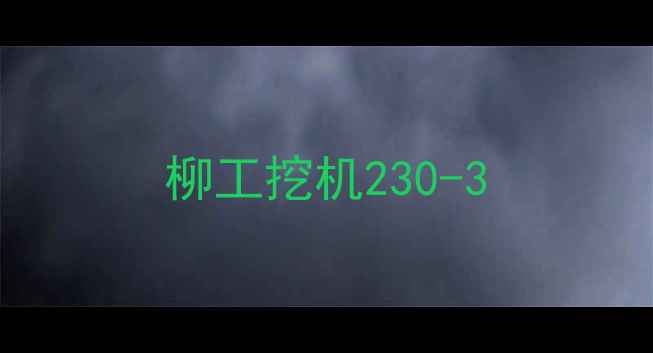 图片 柳工挖机230-3