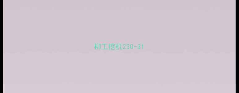 图片 柳工挖机230-31