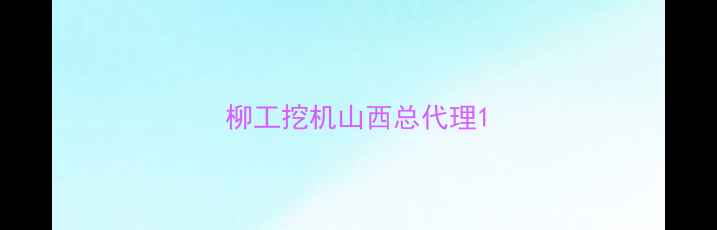 图片 柳工挖机山西总代理1