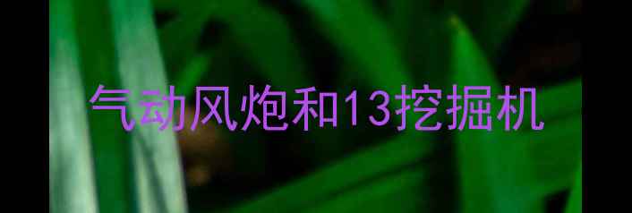 图片 气动风炮和13挖掘机