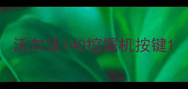 图片 沃尔沃140挖掘机按键1