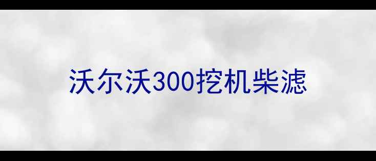 图片 沃尔沃300挖机柴滤