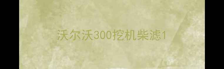 图片 沃尔沃300挖机柴滤1