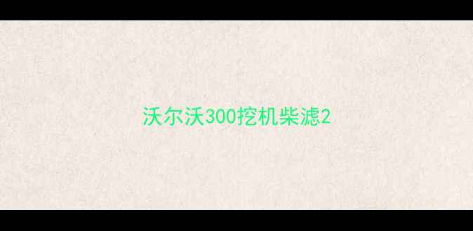 图片 沃尔沃300挖机柴滤2
