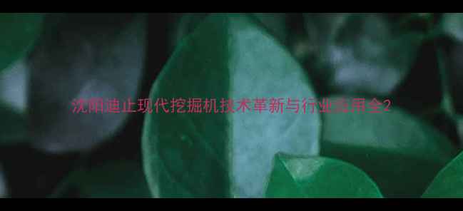 图片 沈阳迪止现代挖掘机技术革新与行业应用全2