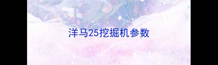 图片 洋马25挖掘机参数