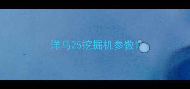 图片 洋马25挖掘机参数1