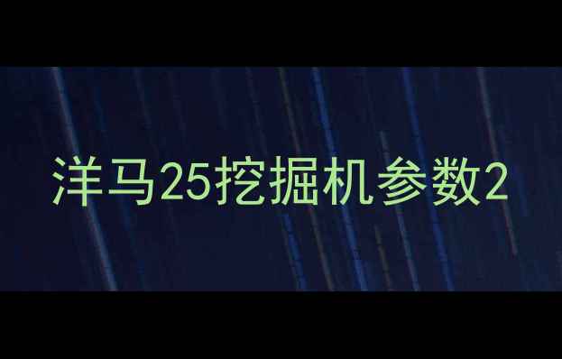 图片 洋马25挖掘机参数2