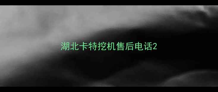 图片 湖北卡特挖机售后电话2