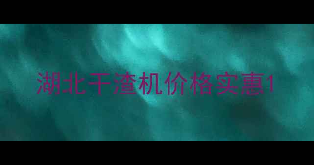 图片 湖北干渣机价格实惠1