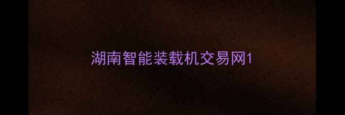 图片 湖南智能装载机交易网1