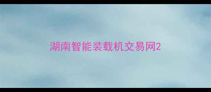 图片 湖南智能装载机交易网2