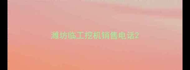图片 潍坊临工挖机销售电话2