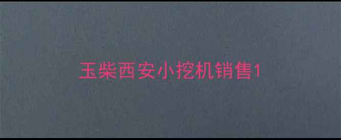 图片 玉柴西安小挖机销售1