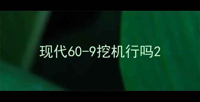 图片 现代60-9挖机行吗2