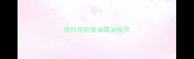 图片 现代挖机柴油箱油标尺