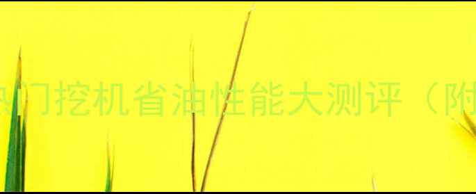 图片 省油王炸！10款热门挖机省油性能大测评（附避坑指南）🚜💸2