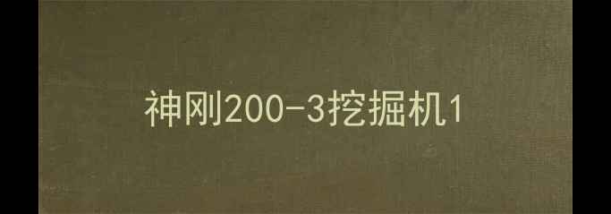图片 神刚200-3挖掘机1