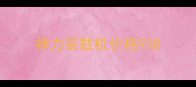 图片 神力装载机价格938