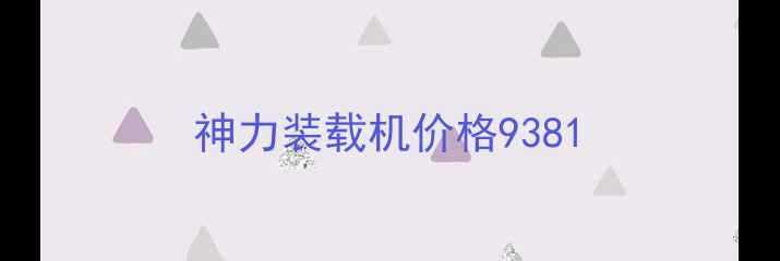 图片 神力装载机价格9381