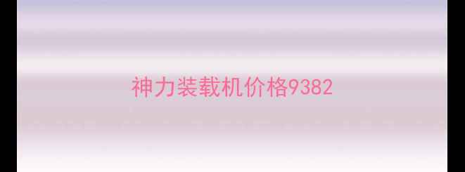 图片 神力装载机价格9382