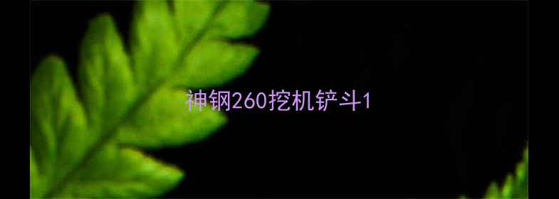 图片 神钢260挖机铲斗1