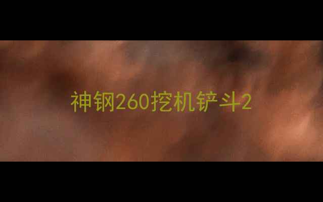 图片 神钢260挖机铲斗2