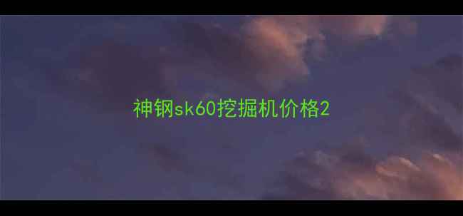 图片 神钢sk60挖掘机价格2
