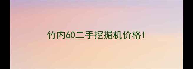 图片 竹内60二手挖掘机价格1