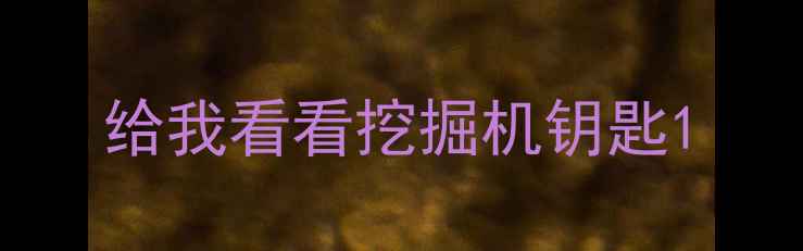 图片 给我看看挖掘机钥匙1