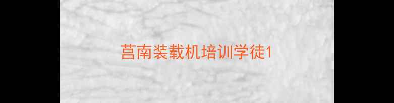 图片 莒南装载机培训学徒1