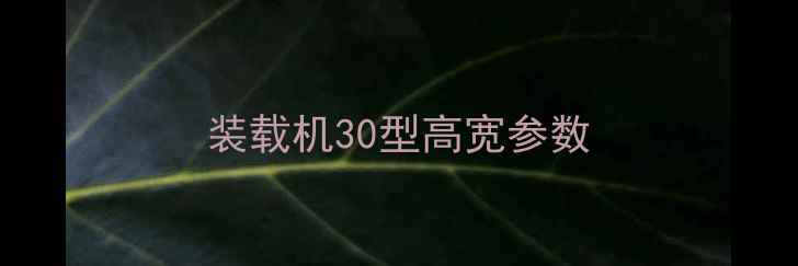 图片 装载机30型高宽参数