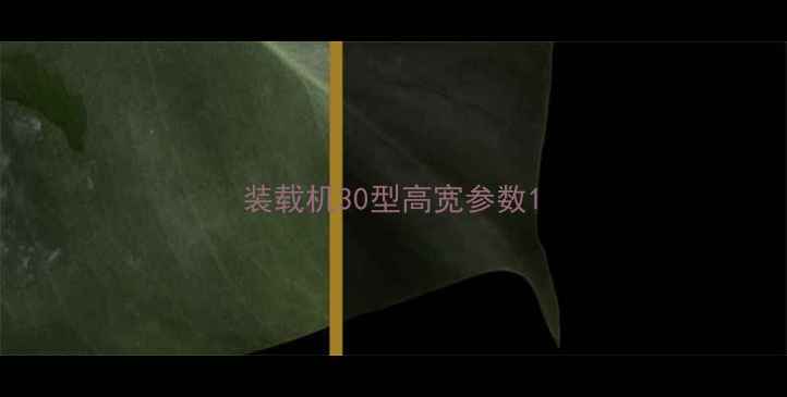 图片 装载机30型高宽参数1
