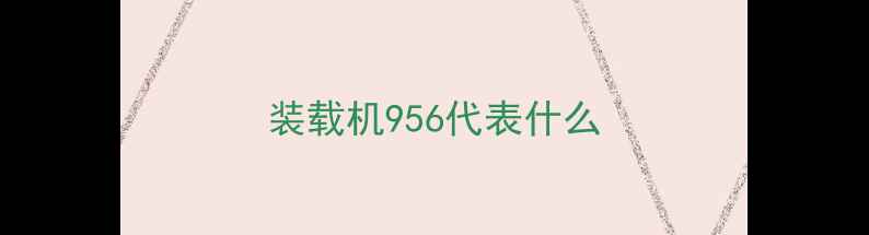 图片 装载机956代表什么